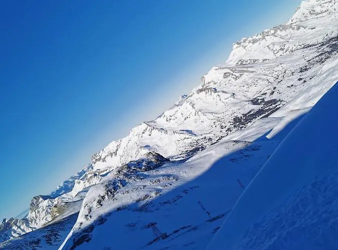 Joli Studio Terrasse Face Aux Pistes